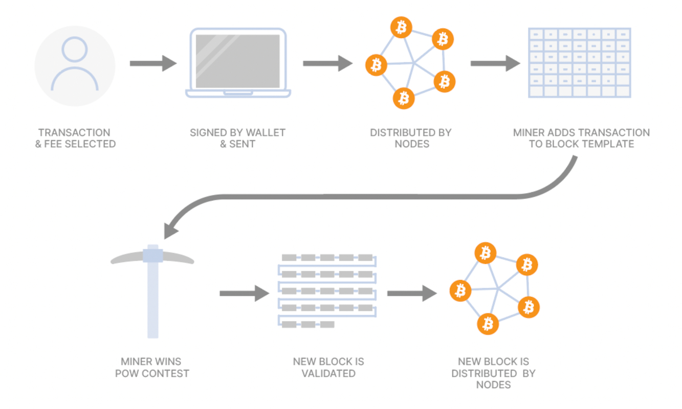 Bitcoin Consultation