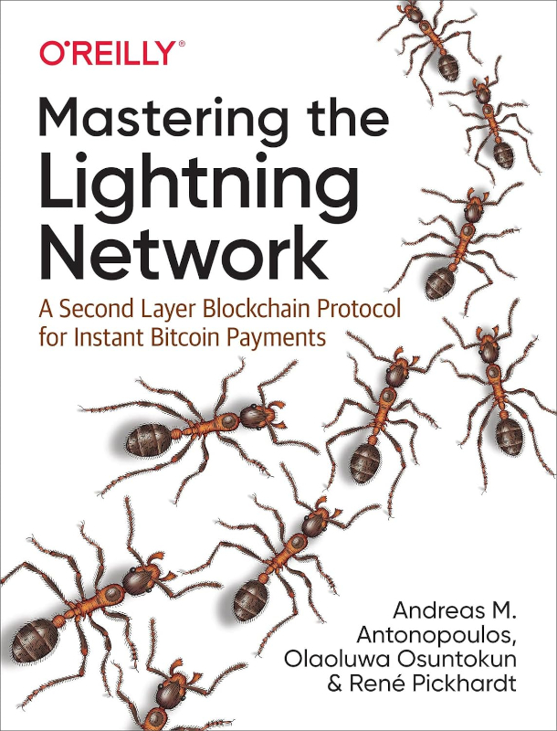 Mastering Lightning Network